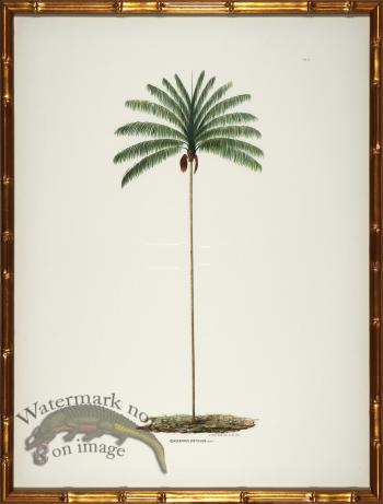 Palm trees in Gold Bamboo 06